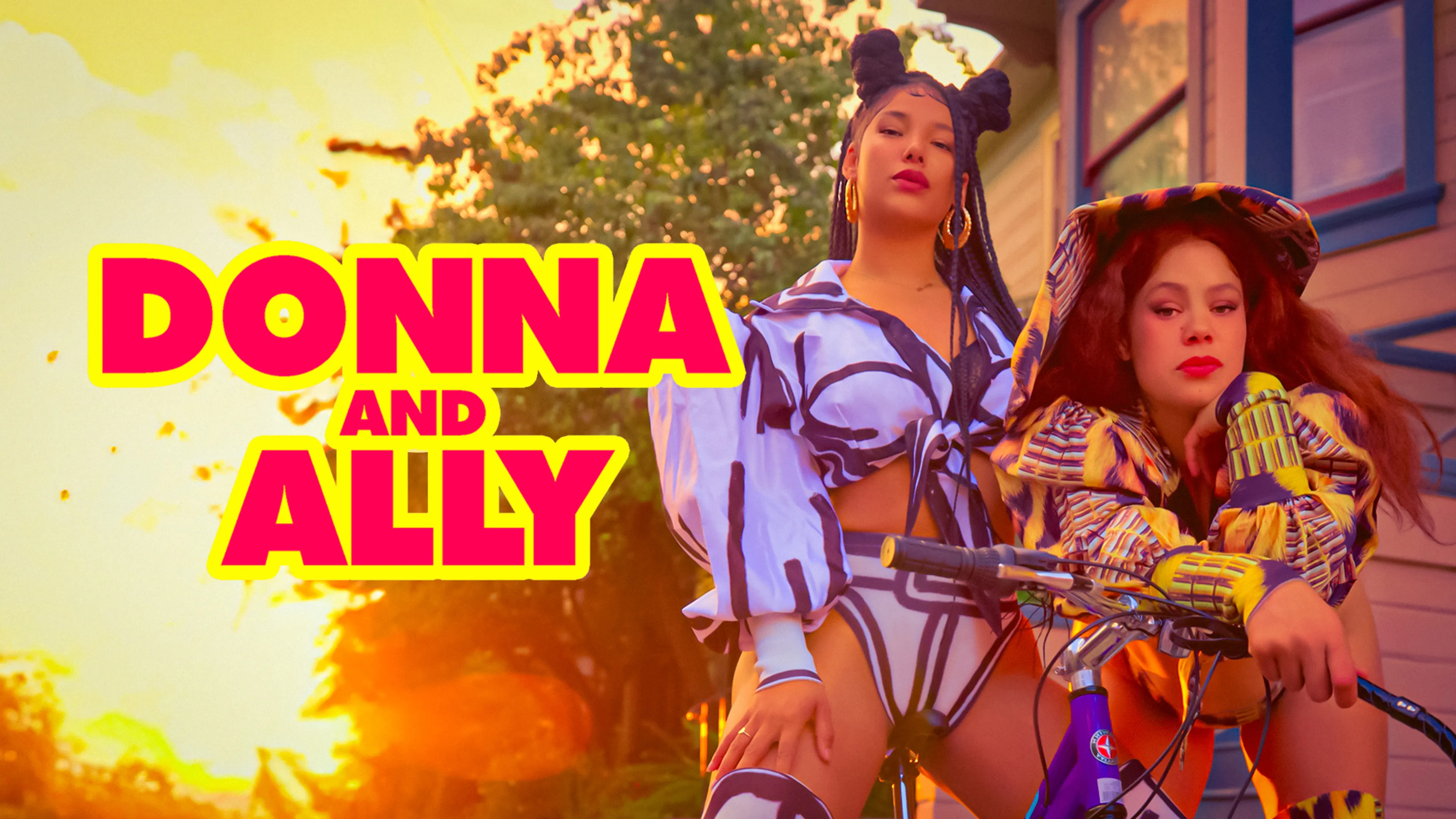 Donna and Ally poster